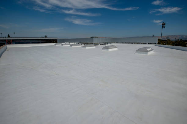 Best Roof Coating and Sealing  in Seaford, NY